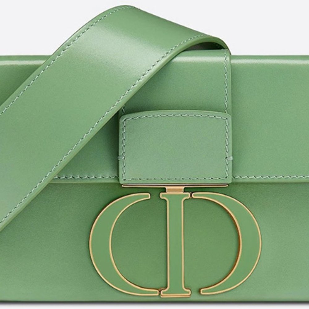 Dior 30 Montaigne Box Bag (Mint Green)